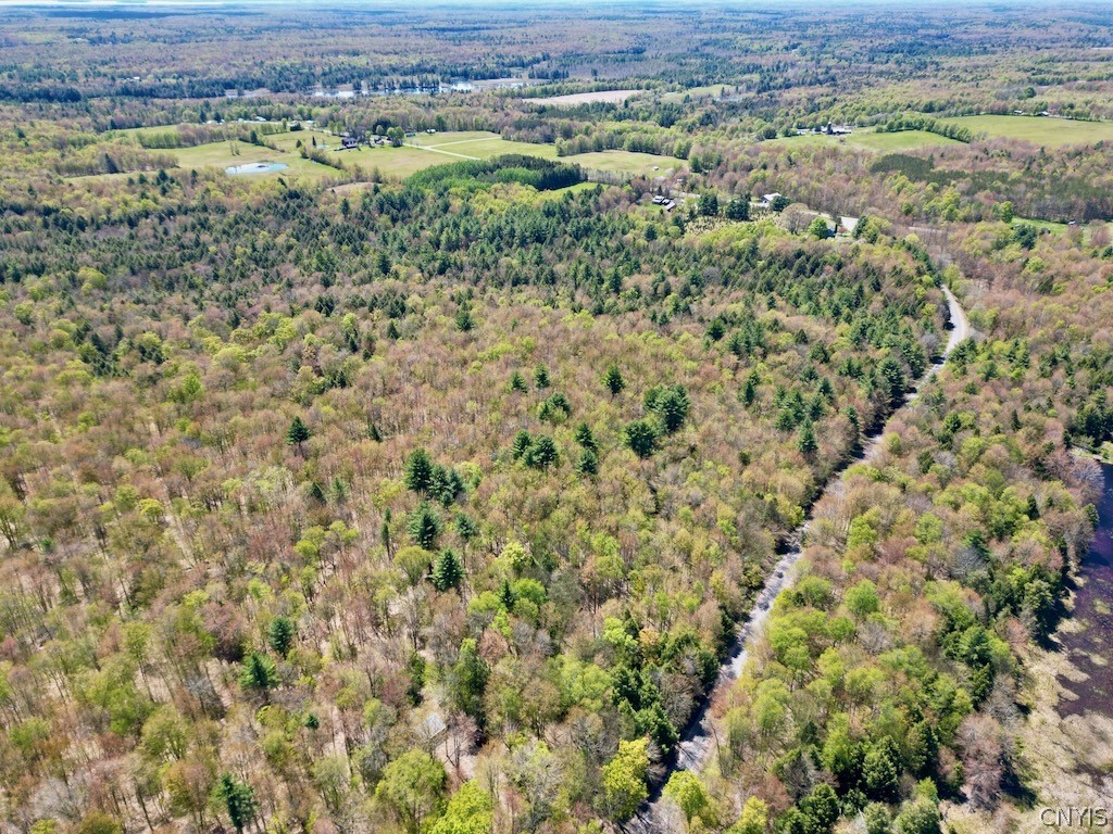 North Hillsborough Road Camden, NY 13316 - Photo 10 of 13