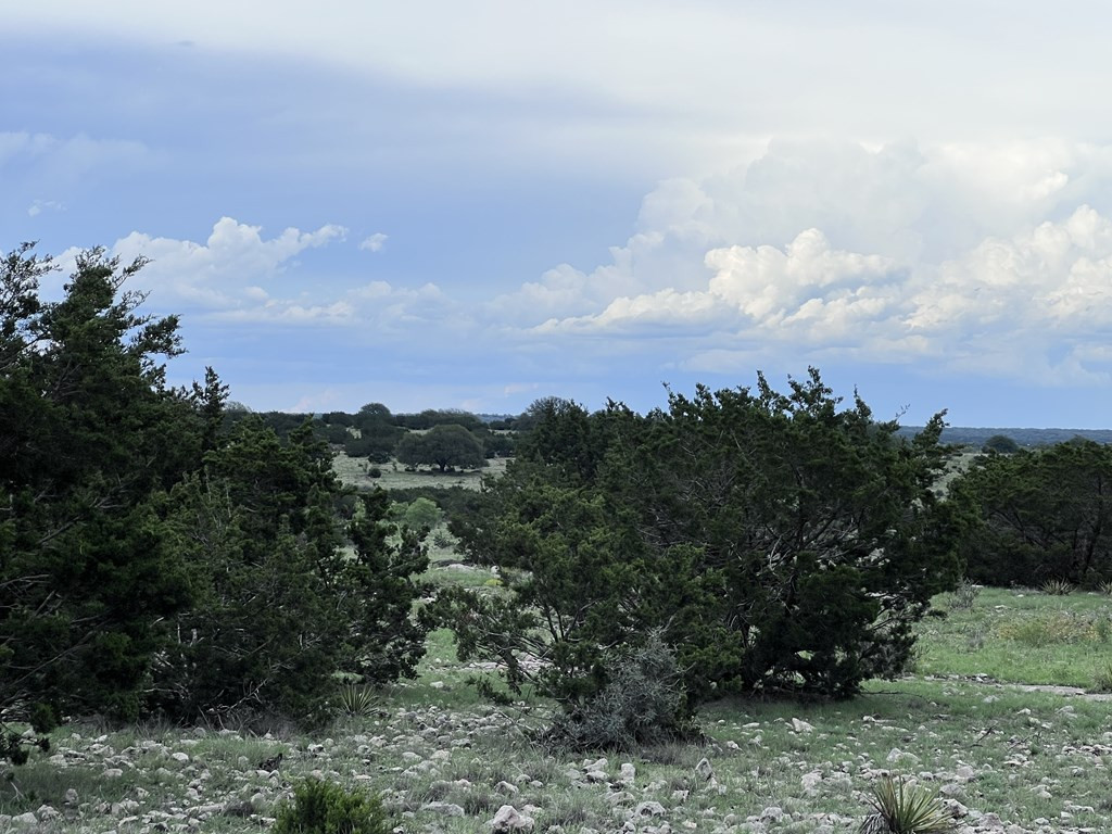3420 Northeast County Road Sonora, TX 76950 - Photo 46 of 94 Photo 47