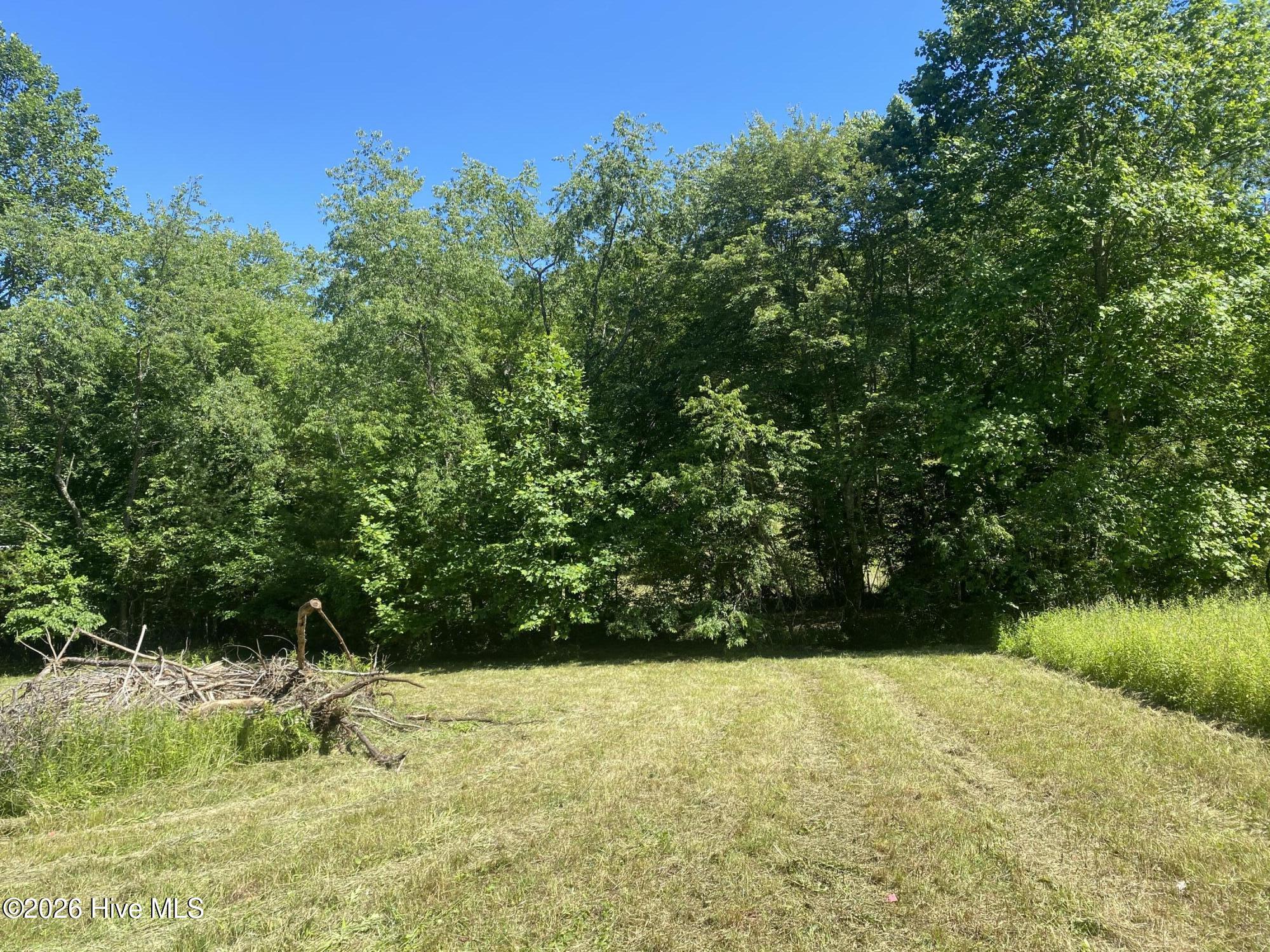 Lot 7 Running Bear Road Murphy, NC 28906 - Photo 4 of 14