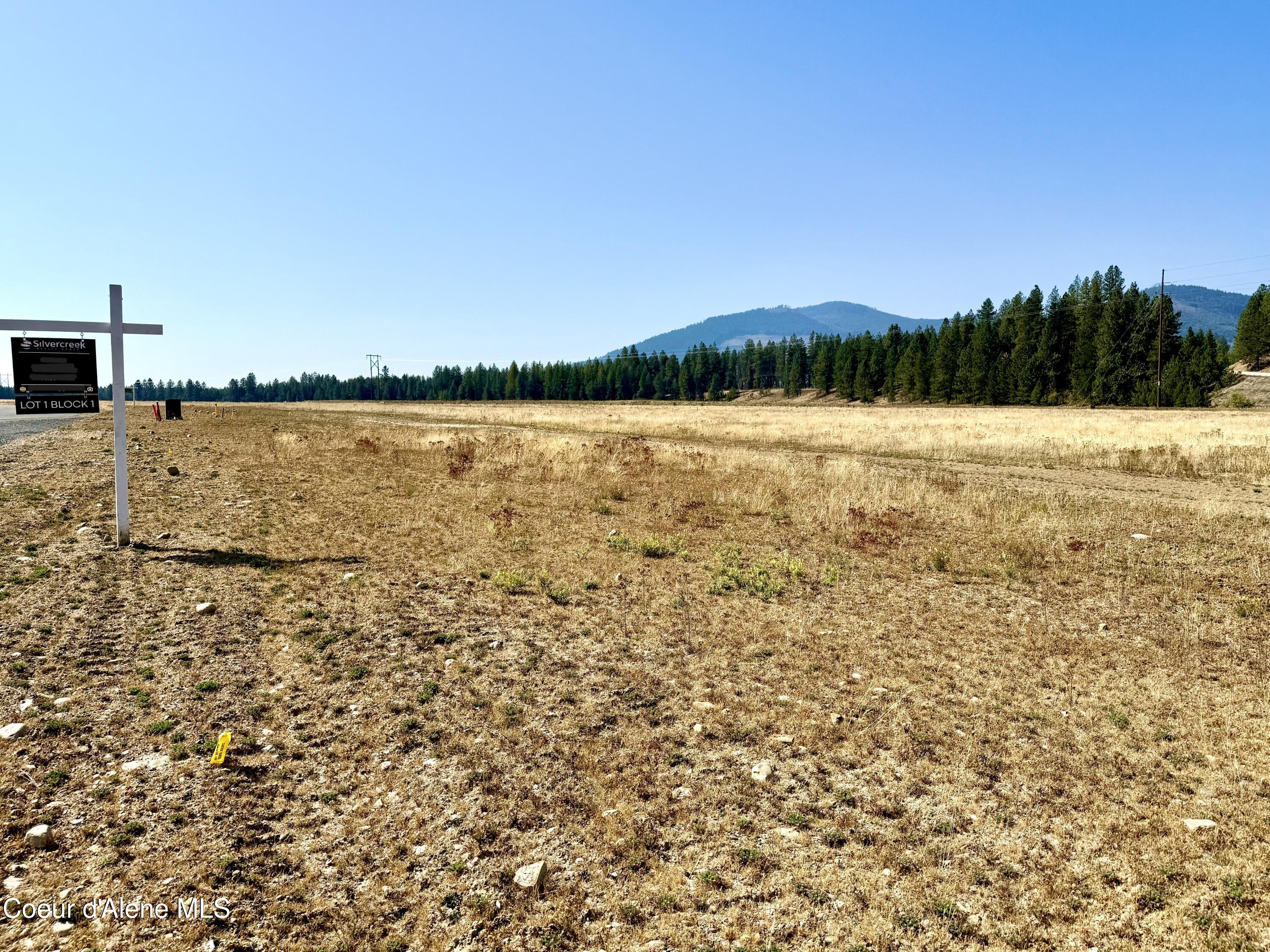 Nka North Stonemason Way, Unit 1 Rathdrum, ID 83858 - Photo 2 of 6 Lot 1 Block 1