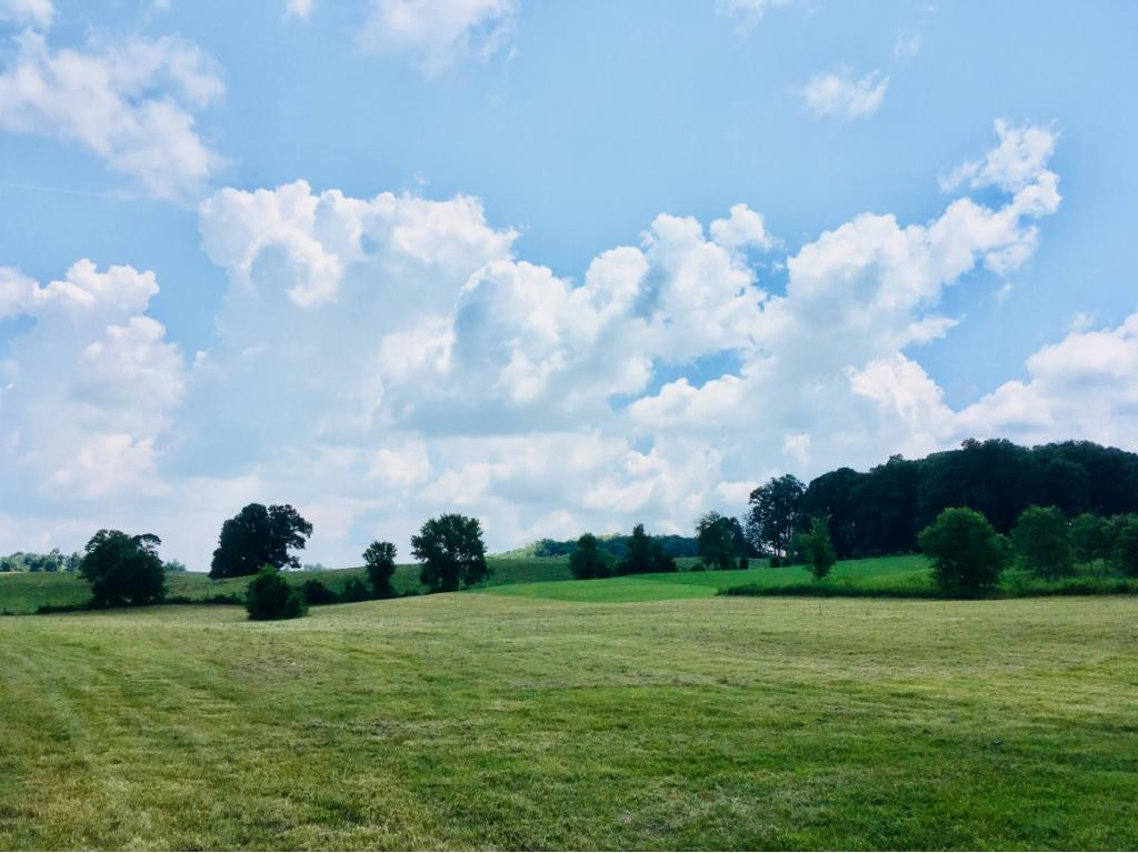 272 Hales Road Jonesborough, TN 37659 - Photo 1 of 24 Photo 1