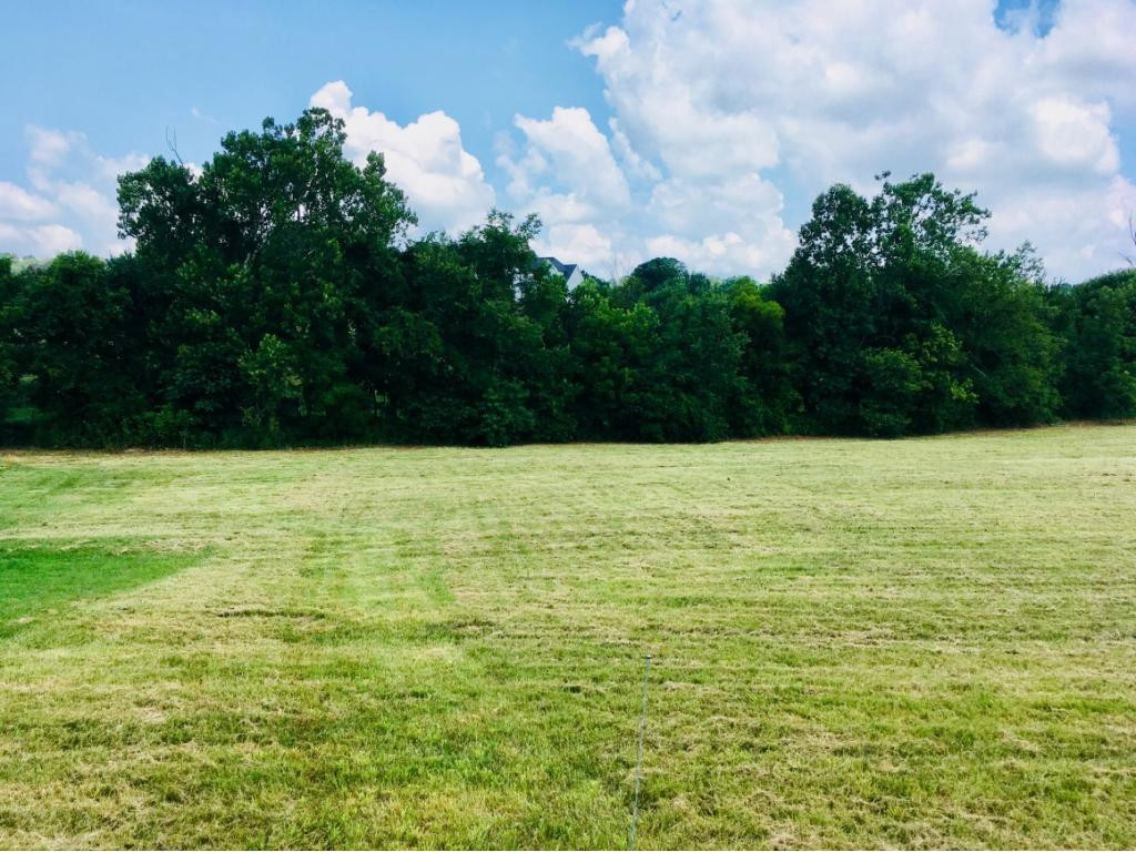 272 Hales Road Jonesborough, TN 37659 - Photo 12 of 24 Photo 12