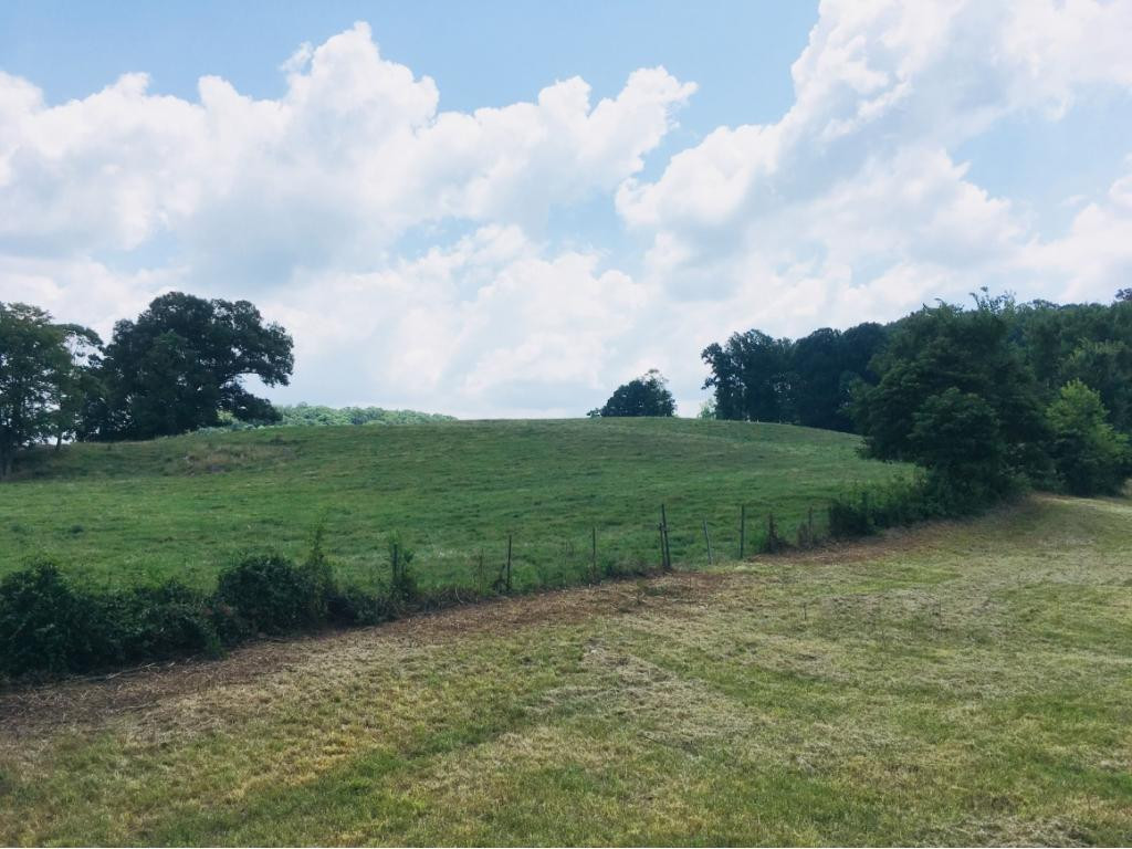 272 Hales Road Jonesborough, TN 37659 - Photo 19 of 24 Photo 19