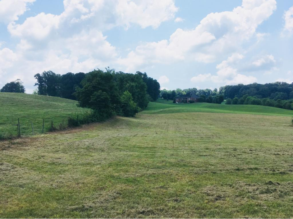 272 Hales Road Jonesborough, TN 37659 - Photo 20 of 24 Photo 20