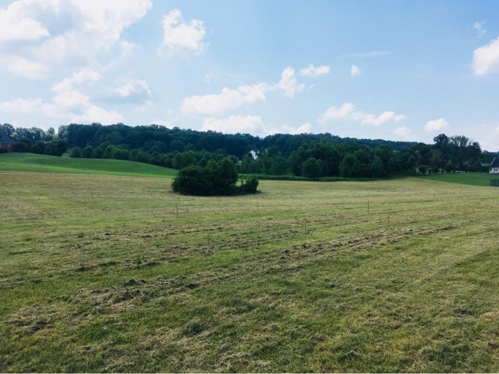 272 Hales Road Jonesborough, TN 37659 - Photo 21 of 24 Photo 21