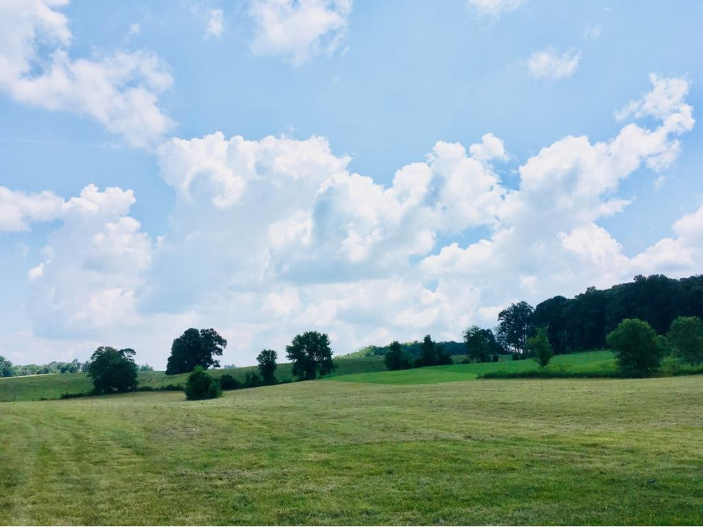 272 Hales Road Jonesborough, TN 37659 - Photo 22 of 24 Photo 22