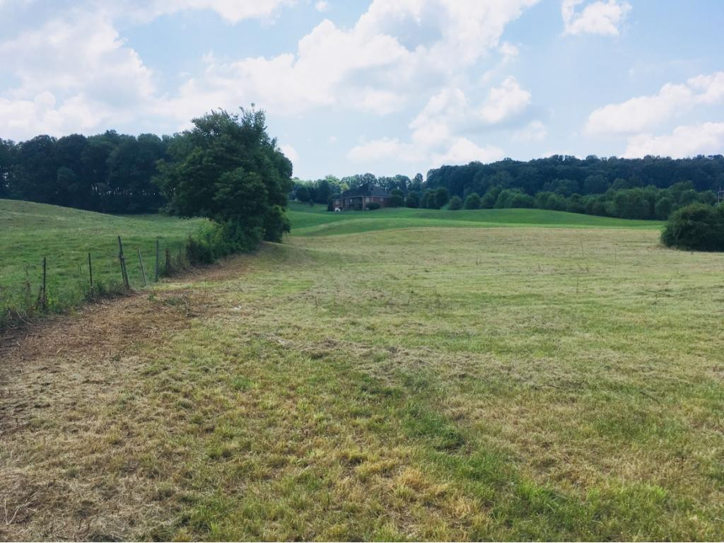 272 Hales Road Jonesborough, TN 37659 - Photo 3 of 24 Photo 3