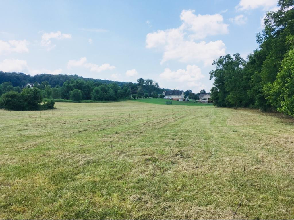 272 Hales Road Jonesborough, TN 37659 - Photo 4 of 24 Photo 4