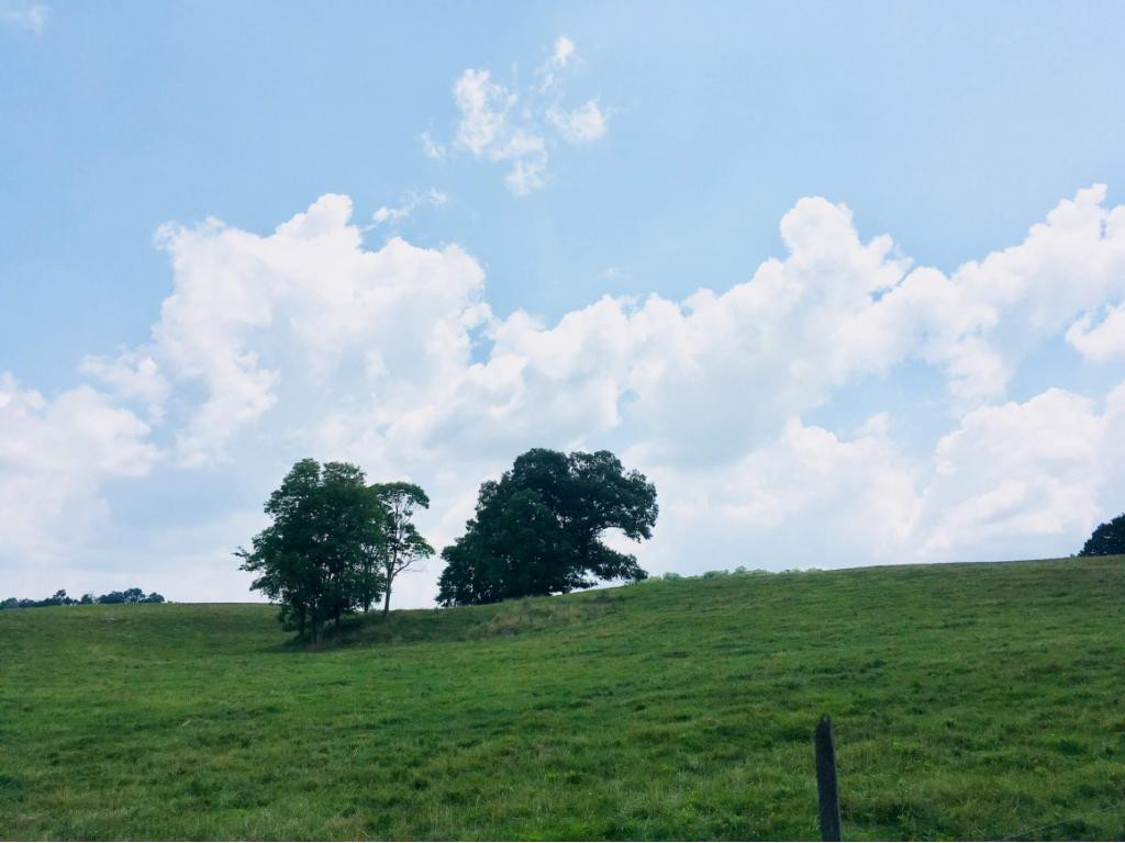 272 Hales Road Jonesborough, TN 37659 - Photo 5 of 24 Photo 5