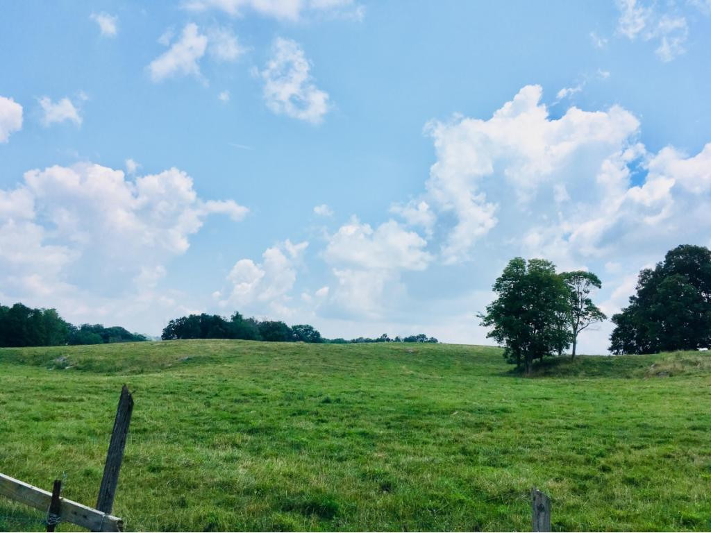 272 Hales Road Jonesborough, TN 37659 - Photo 6 of 24 Photo 6