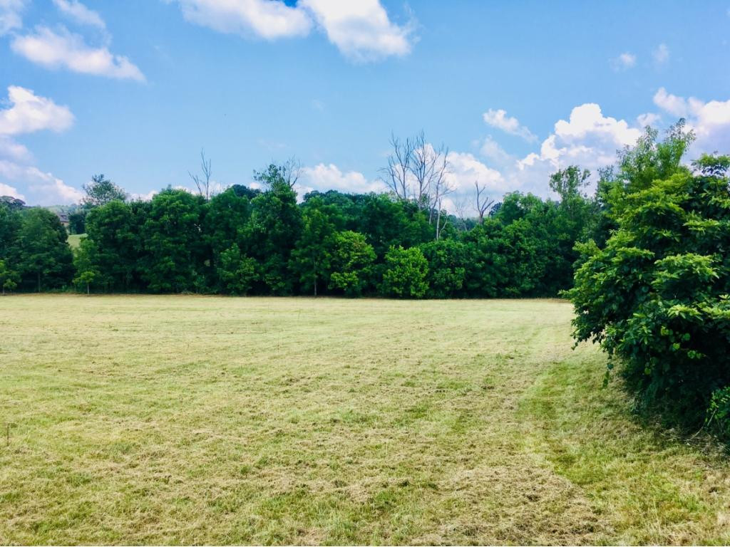 272 Hales Road Jonesborough, TN 37659 - Photo 8 of 24 Photo 8