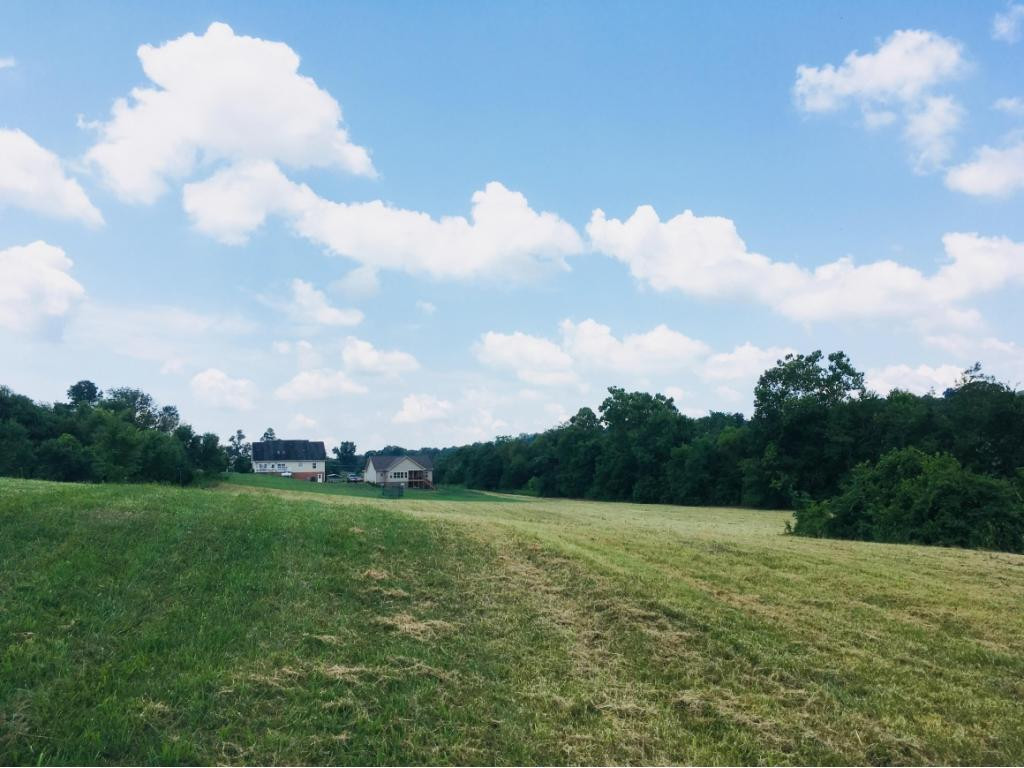 272 Hales Road Jonesborough, TN 37659 - Photo 9 of 24 Photo 9