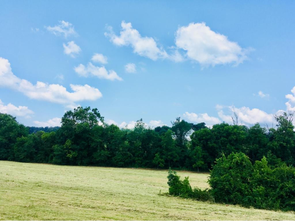 272 Hales Road Jonesborough, TN 37659 - Photo 10 of 24 Photo 10