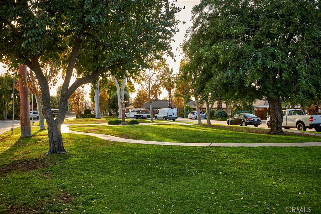 4723 Jackson Street, Unit 28 Riverside, CA 92503 - Photo 31 of 33 a garden view with tall trees