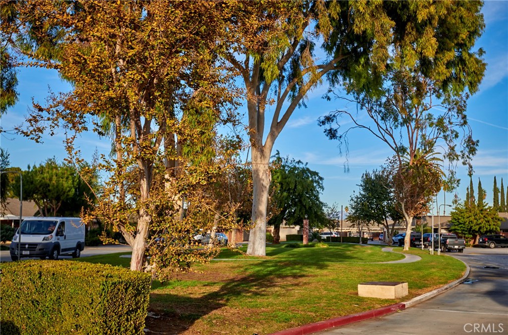 4723 Jackson Street, Unit 28 Riverside, CA 92503 - Photo 32 of 33 a view of a patio with couches plants and large trees