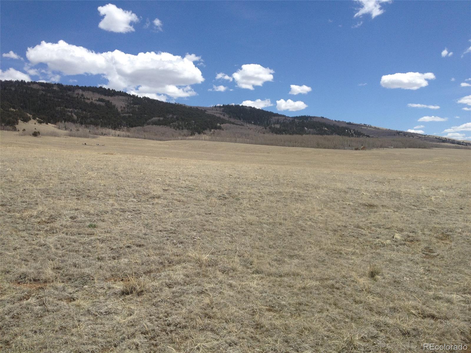 2773 Gap Road Fairplay, CO 80440 - Photo 3 of 11 Gallery Image 3
