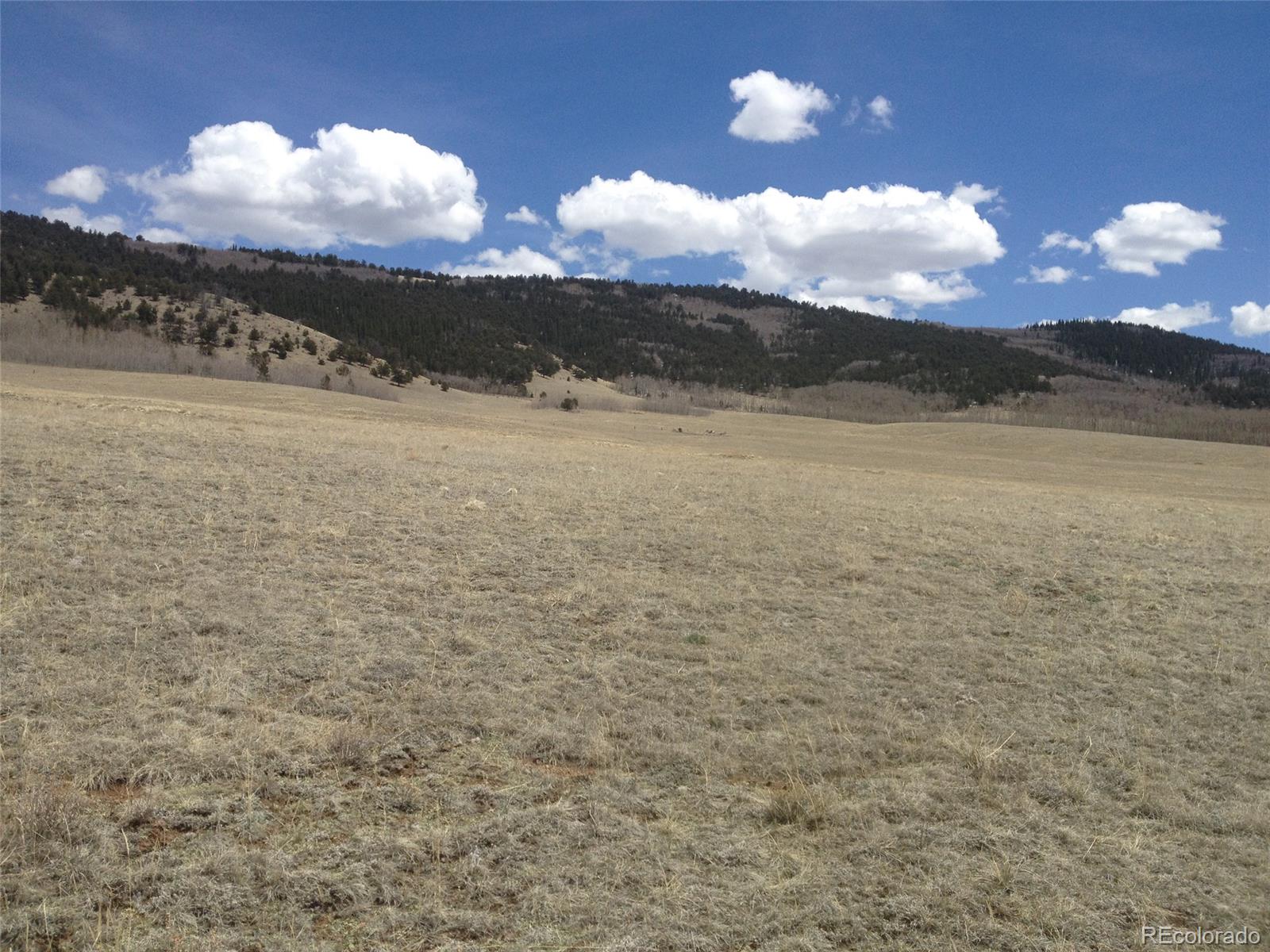 2773 Gap Road Fairplay, CO 80440 - Photo 5 of 11 Gallery Image 5