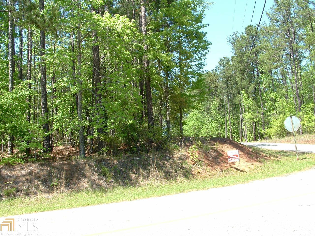 184 South Steel Bridge Road, Unit 1843 Eatonton, GA 31024 - Photo 1 of 1 Gallery Image 1