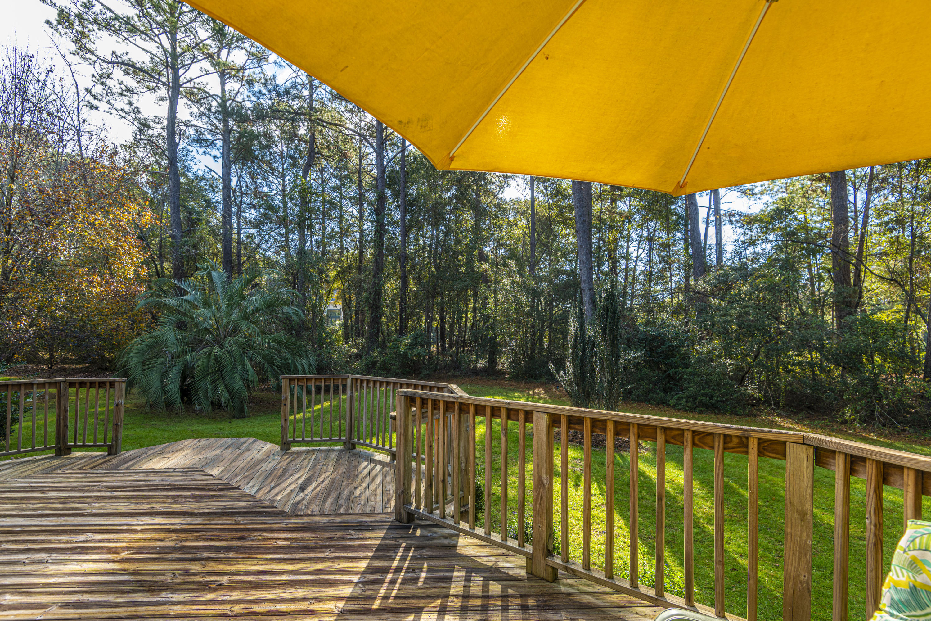 3347 River Landing Road Johns Island, SC 29455 - Photo 36 of 49 Back Deck