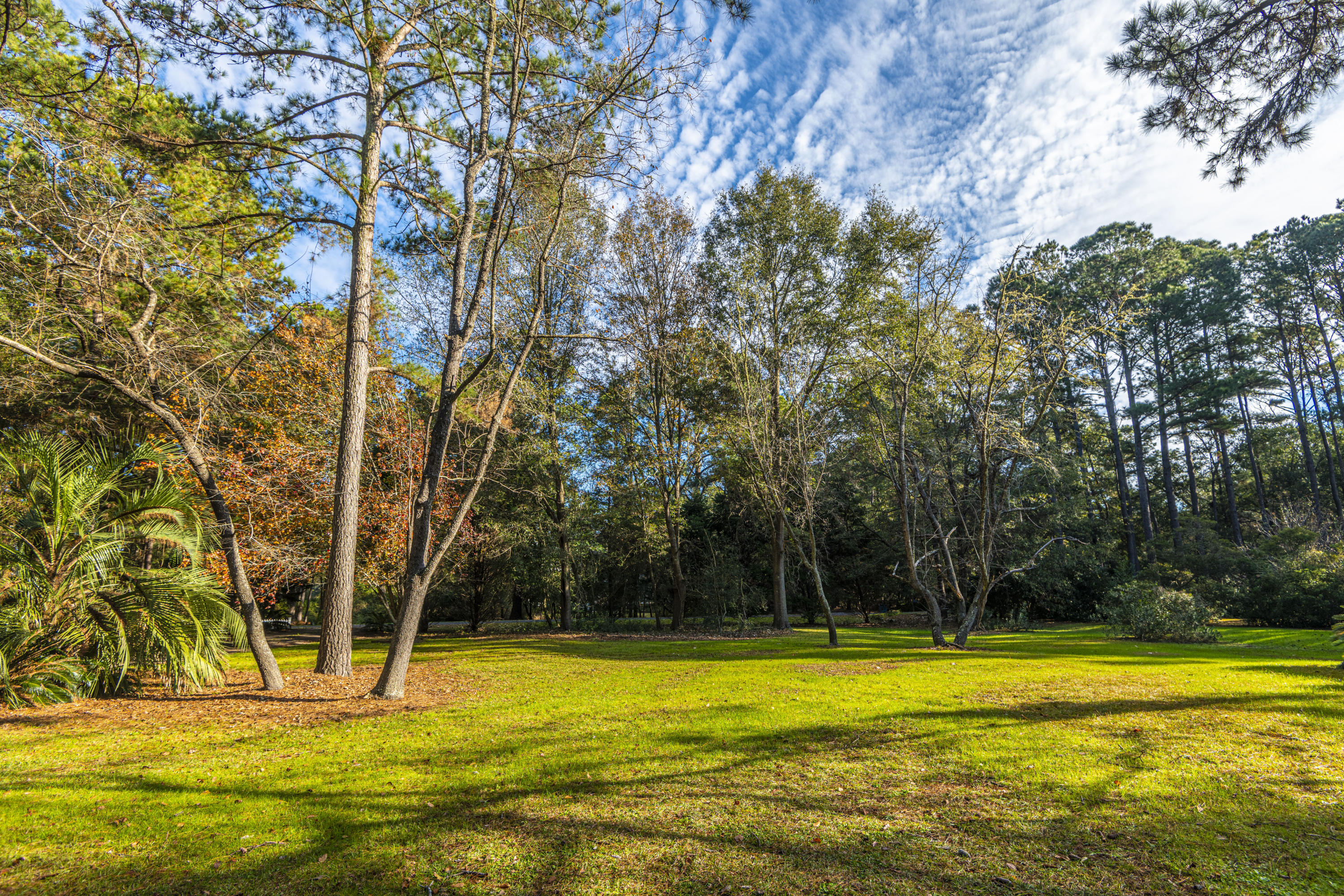 3347 River Landing Road Johns Island, SC 29455 - Photo 43 of 49 Side Yard