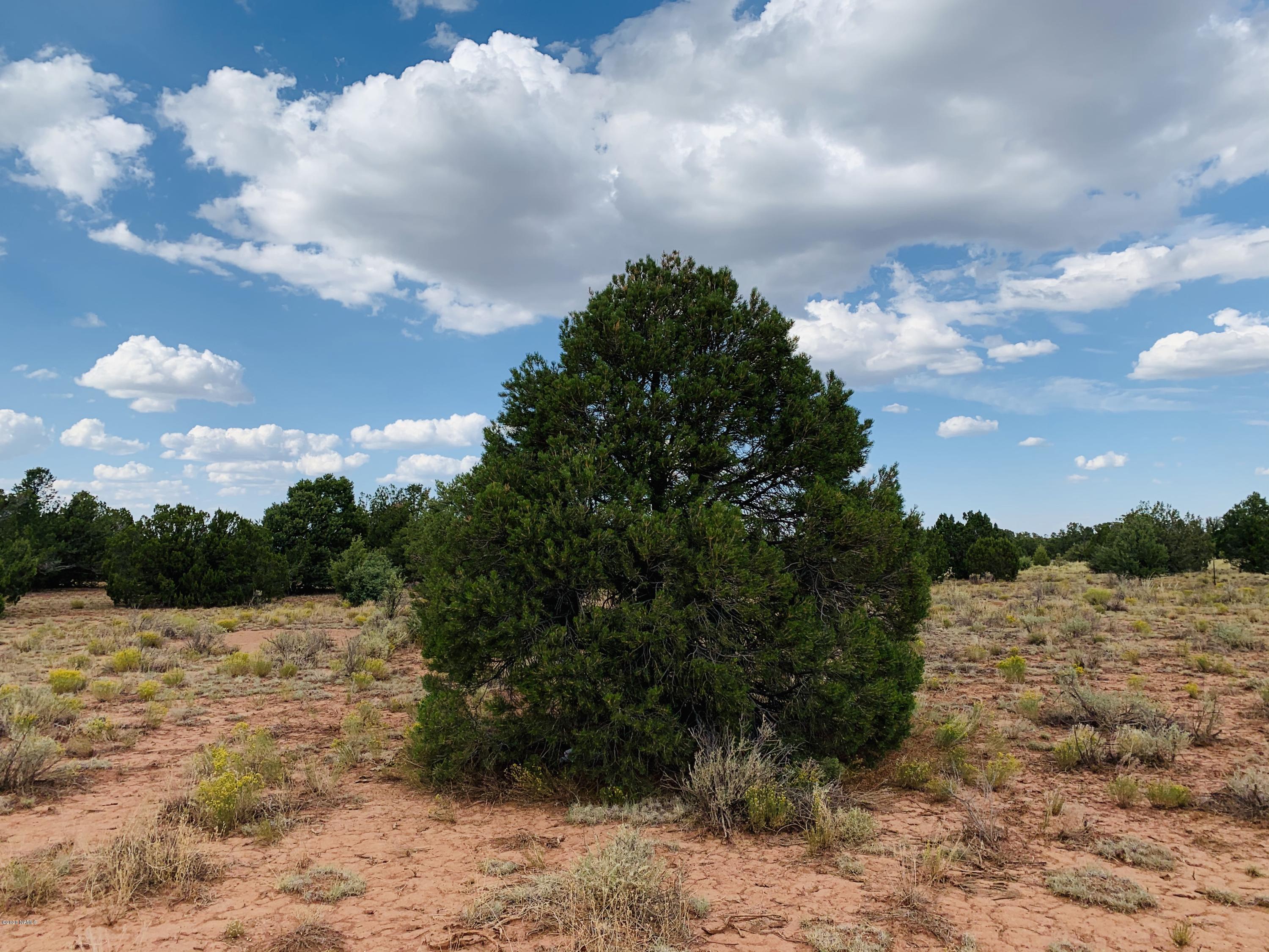 4249 East Wingfield Road Williams, AZ 86046 - Photo 1 of 9 4249 E Wingfield Rd Cover Photo