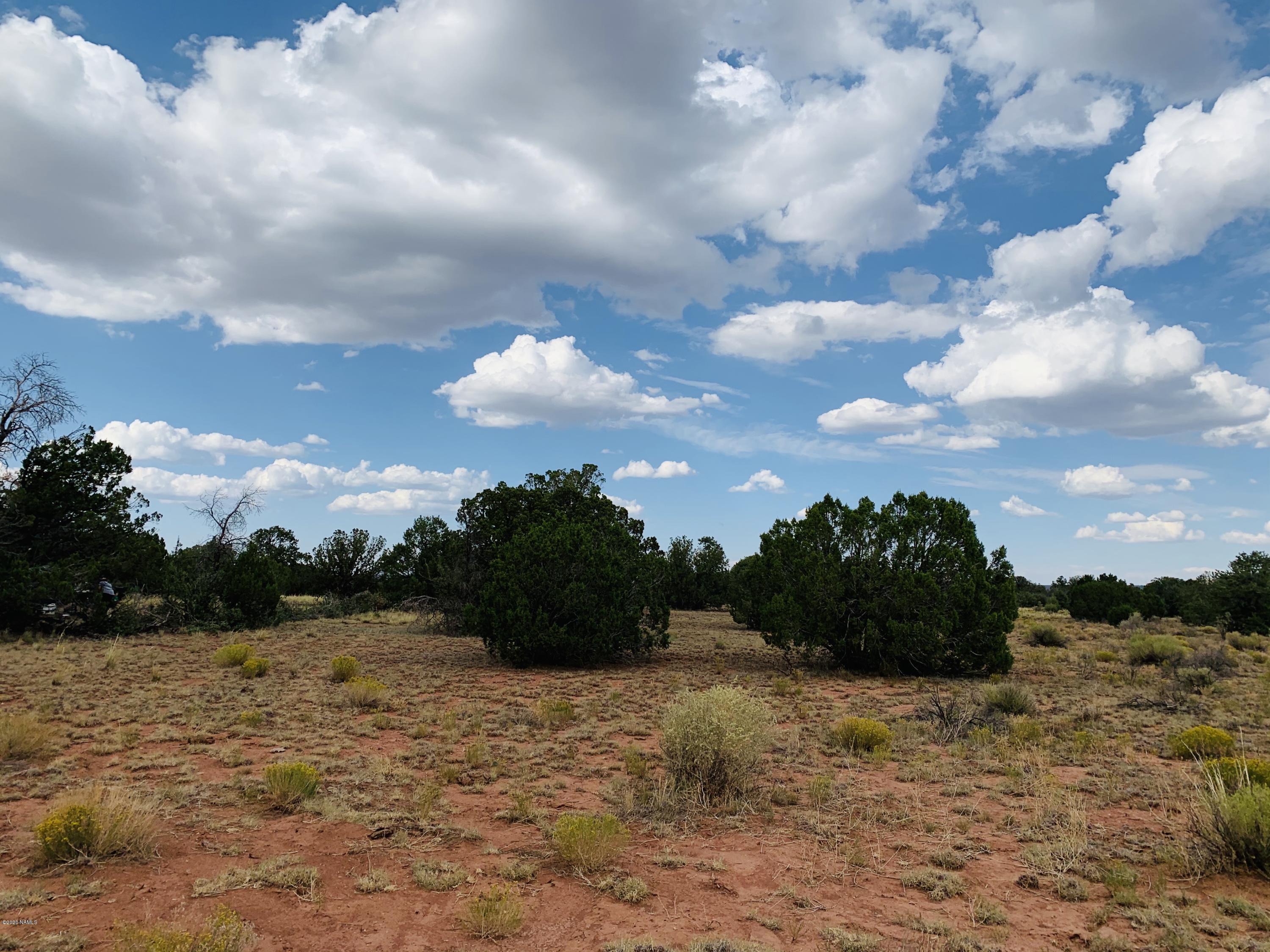 4249 East Wingfield Road Williams, AZ 86046 - Photo 2 of 9 4249 E Wingfield Rd Photo 2