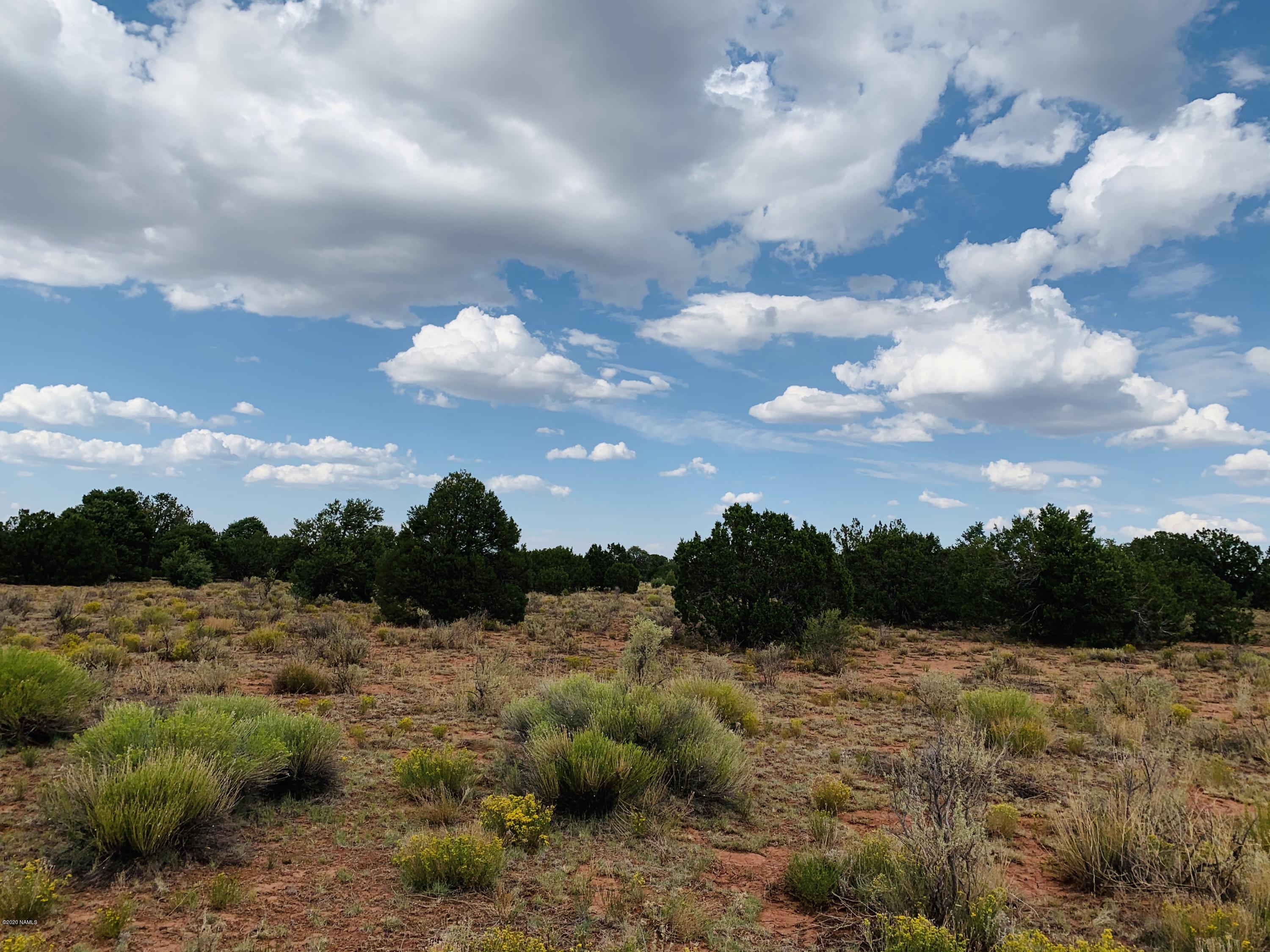 4249 East Wingfield Road Williams, AZ 86046 - Photo 4 of 9 4249 E Wingfield Rd Photo 4