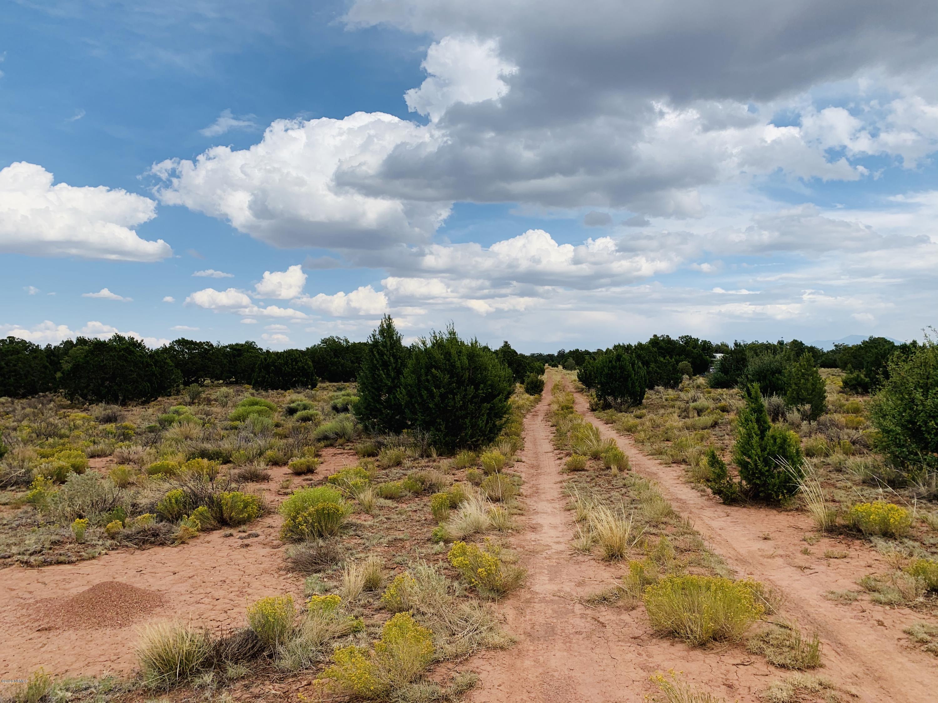 4249 East Wingfield Road Williams, AZ 86046 - Photo 6 of 9 4249 E Wingfield Rd Photo 6