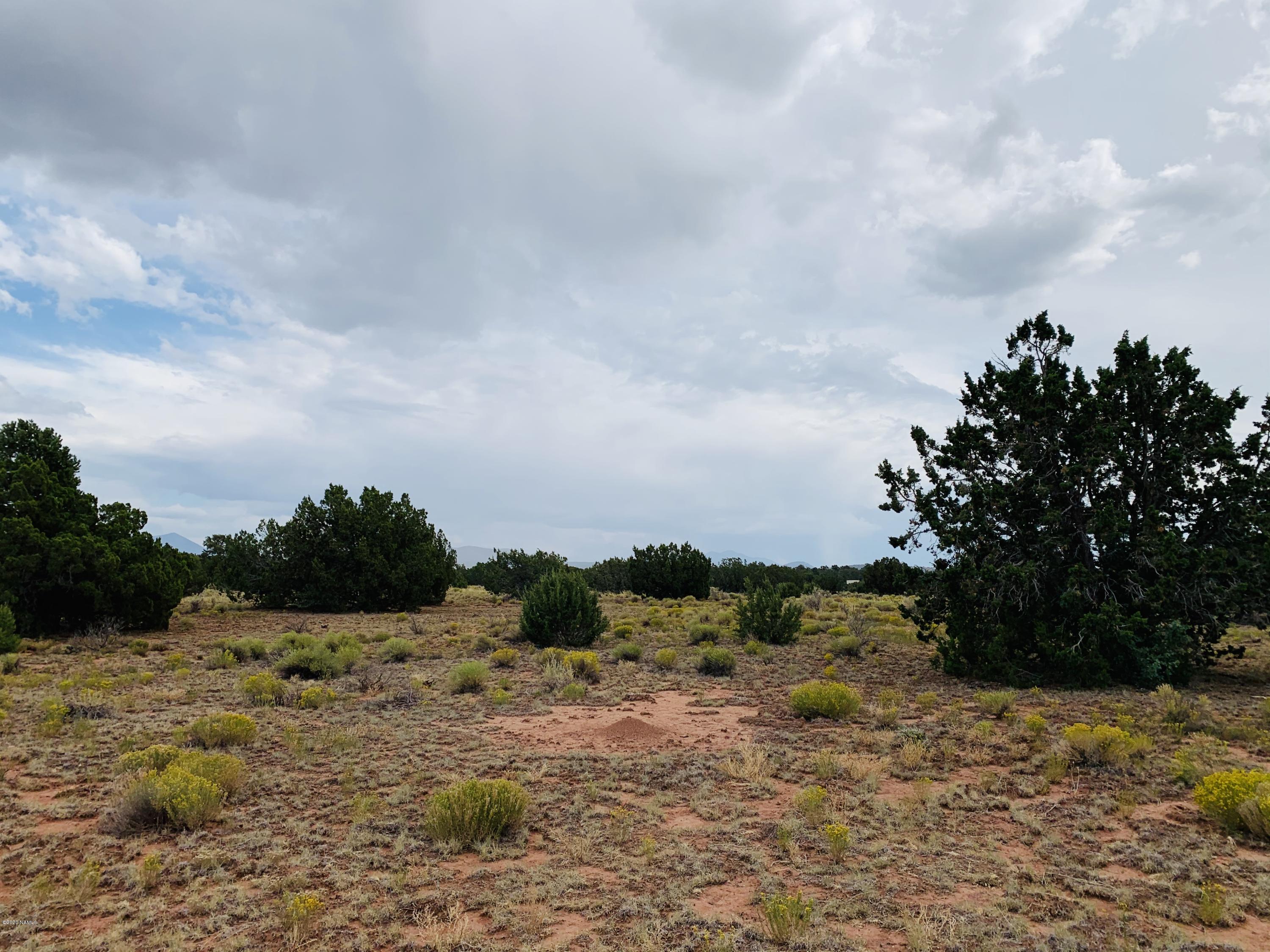 4249 East Wingfield Road Williams, AZ 86046 - Photo 7 of 9 4249 E Wingfield Rd Photo 7