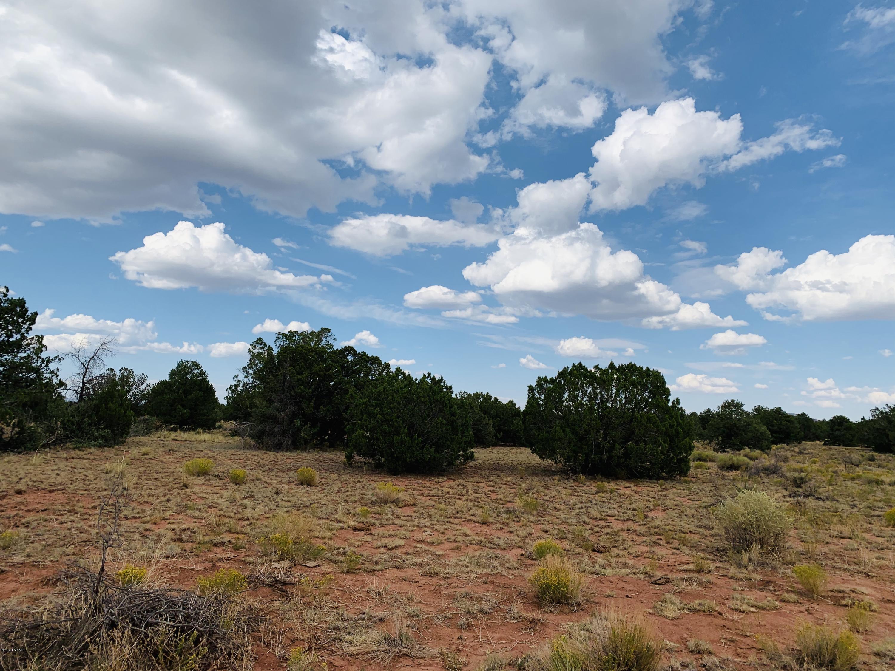 4249 East Wingfield Road Williams, AZ 86046 - Photo 9 of 9 4249 E Wingfield Rd Photo 9