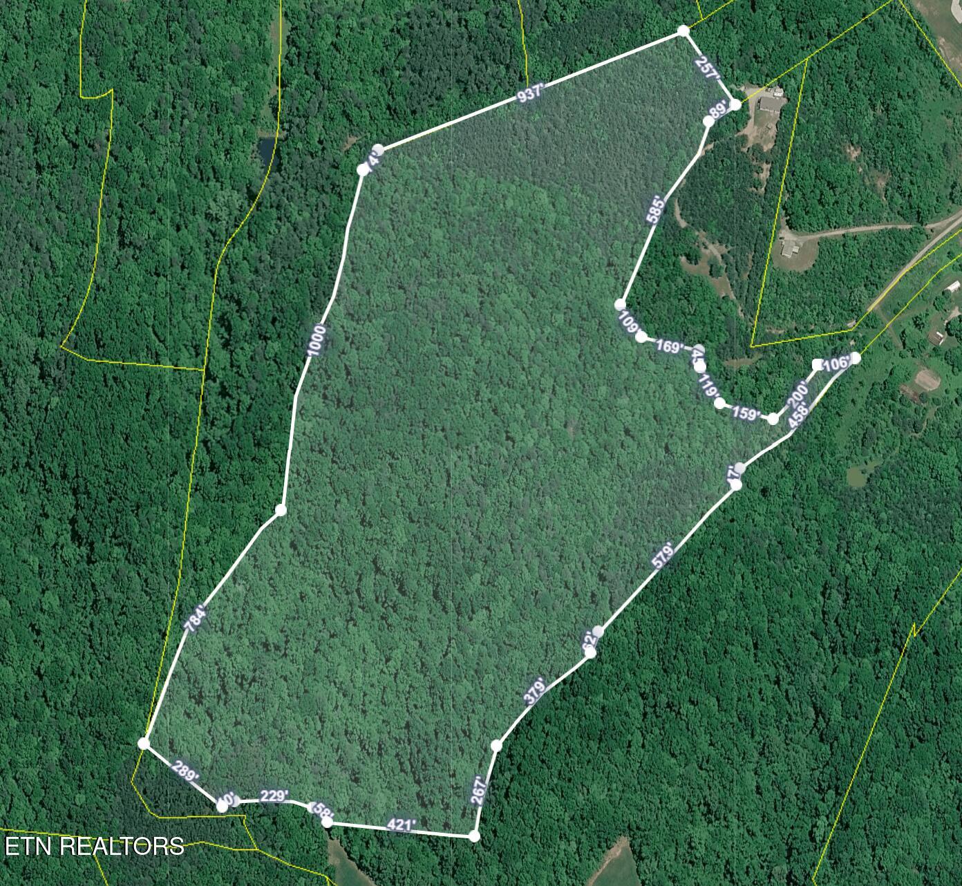 51-acres Rocky Branch Road Rutledge, TN 37861 - Photo 1 of 1 Screenshot 2026-07-24 152049