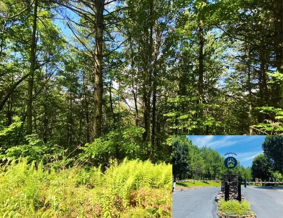 $7,000 | Lot 97 Choctaw Rdg Trail, Murphy, NC 28906