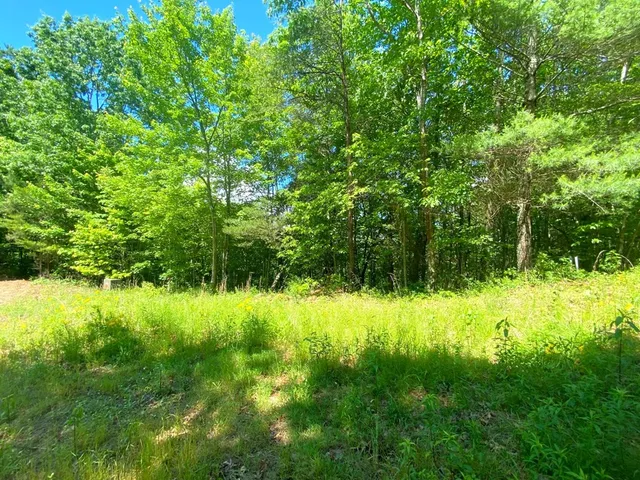 $9,900 | Lot 97 Choctaw Rdg Trail, Murphy, NC 28906