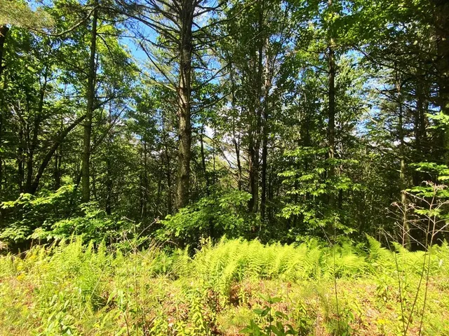 $9,900 | Lot 97 Choctaw Rdg Trail, Murphy, NC 28906