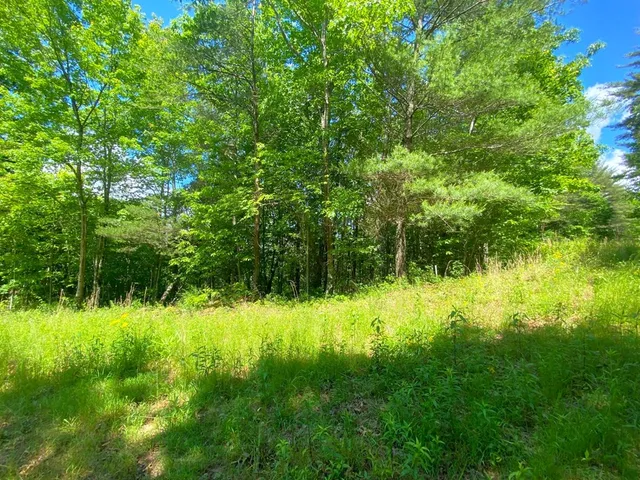 $9,900 | Lot 97 Choctaw Rdg Trail, Murphy, NC 28906