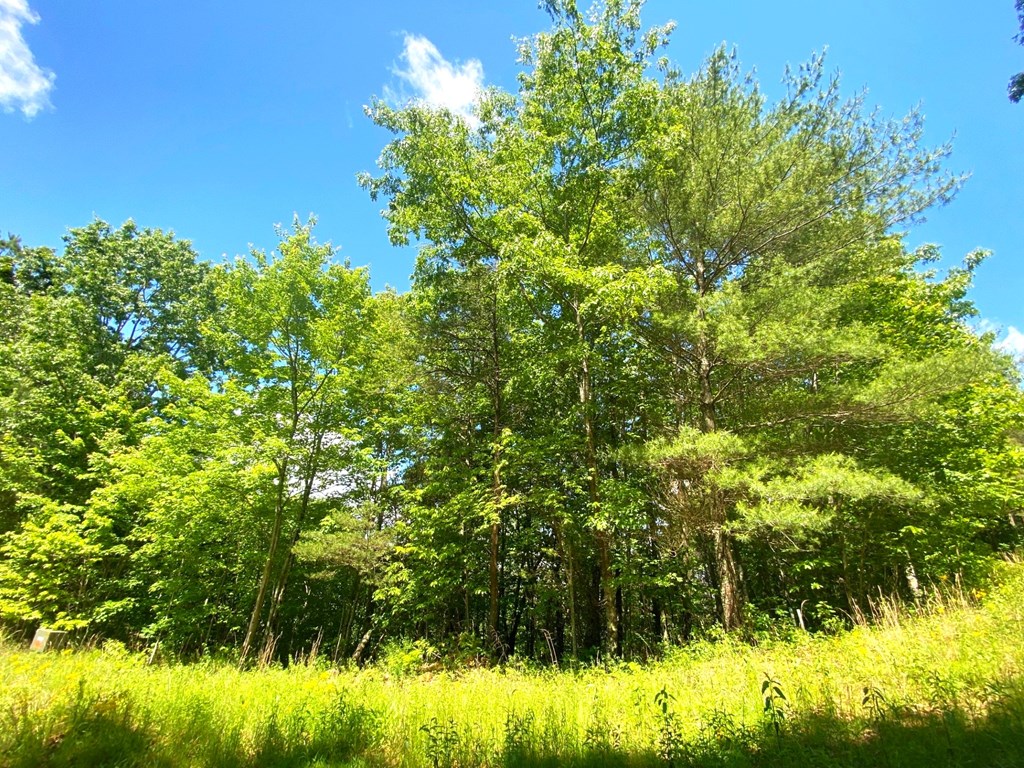 Lot 97 Choctaw Rdg Trail Murphy, NC 28906 - Photo 5 of 14