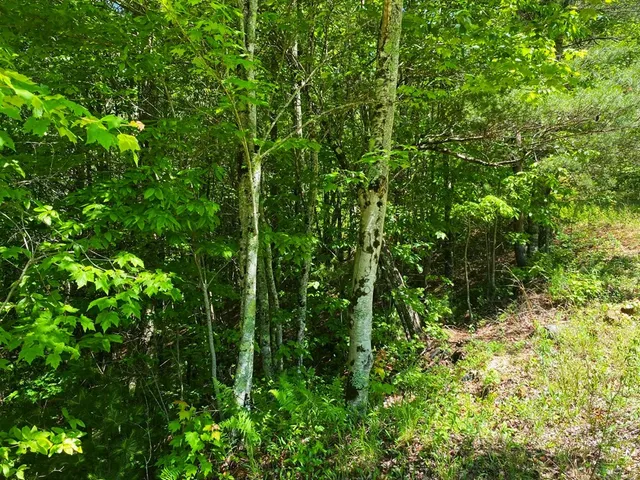 $9,900 | Lot 97 Choctaw Rdg Trail, Murphy, NC 28906