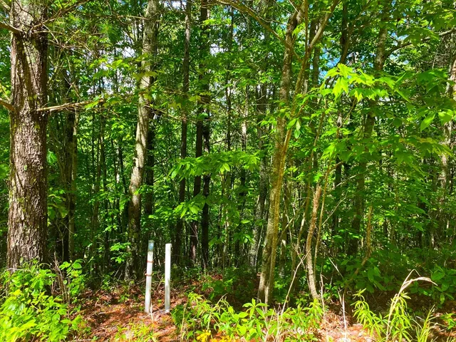 $9,900 | Lot 97 Choctaw Rdg Trail, Murphy, NC 28906
