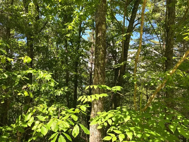 $9,900 | Lot 97 Choctaw Rdg Trail, Murphy, NC 28906
