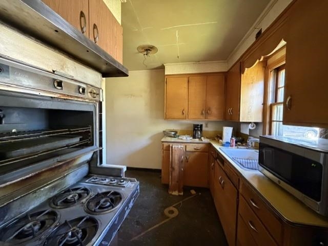 1240 5th Avenue Stevens Point, WI 54481 - Photo 8 of 23