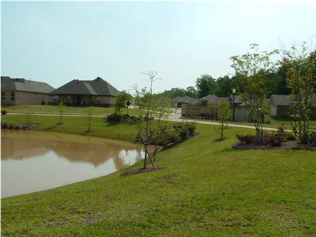235 Greenfield Ridge Drive Brandon, MS 39042 - Photo 3 of 11 Entrance to Greenfield Station