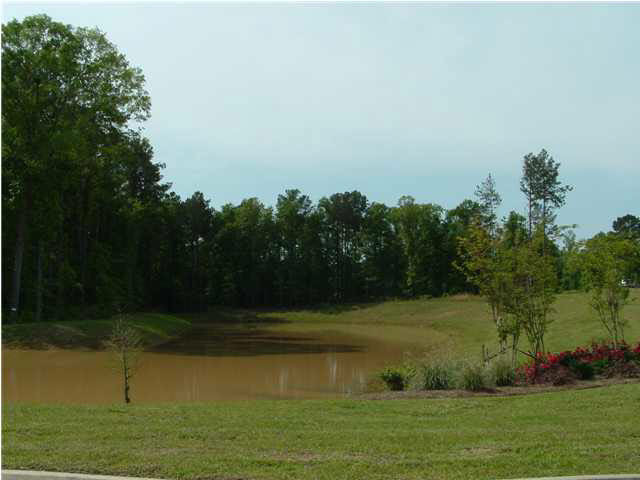 235 Greenfield Ridge Drive Brandon, MS 39042 - Photo 4 of 11 Quiet, serene and peaceful.