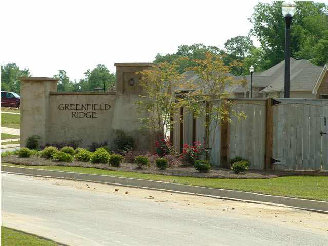 235 Greenfield Ridge Drive Brandon, MS 39042 - Photo 5 of 11 Come home to fabulous new construction!