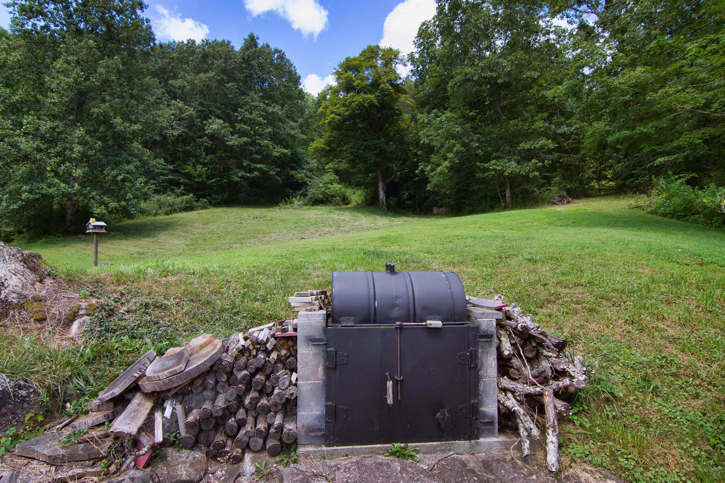 276 Lone Willow Mountain Road Sandstone, WV 25985 - Photo 67 of 67 Gallery Image 67