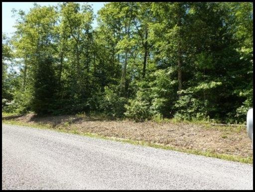 Briar Point Road Allardt, TN 38504 - Photo 1 of 10 Primary Photo