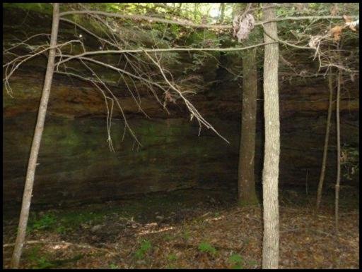 Briar Point Road Allardt, TN 38504 - Photo 2 of 10 Additional Photo