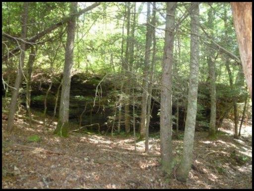 Briar Point Road Allardt, TN 38504 - Photo 5 of 10 Additional Photo