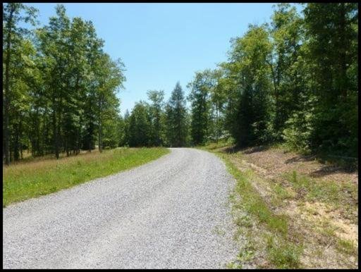 Briar Point Road Allardt, TN 38504 - Photo 6 of 10 Additional Photo