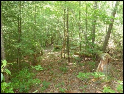 Briar Point Road Allardt, TN 38504 - Photo 7 of 10 Additional Photo