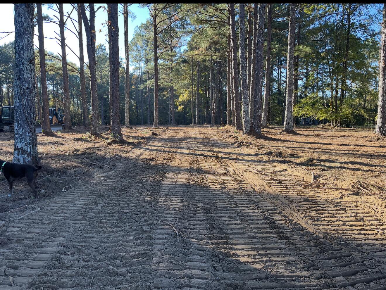 2400 Morris Callaway Road Appling, GA 30802 - Photo 4 of 6 DRIVEWAY VIEW